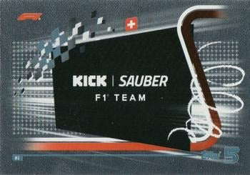 Team Logo Sauber #82