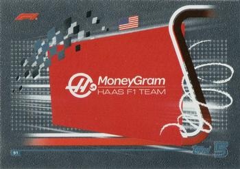 Team Logo Haas #91