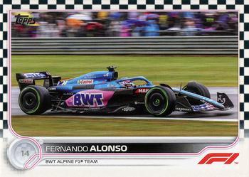 Fernando Alonso #115 Flagship - Checkered Flag