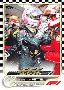 Sebastian Vettel #177 Flagship - Checkered Flag