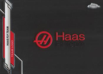 Haas F1 Team #120
