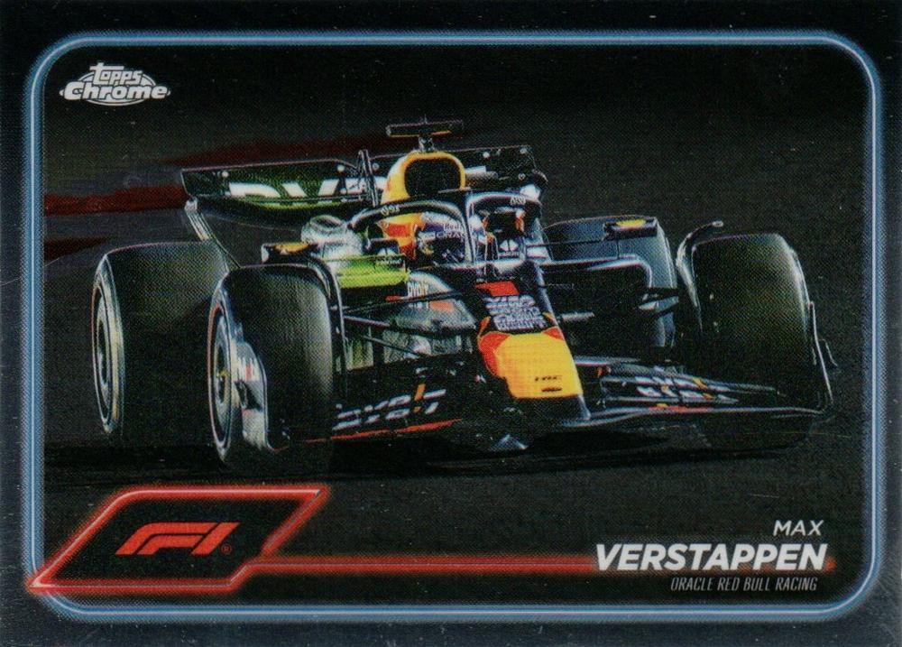 Max Verstappen #73